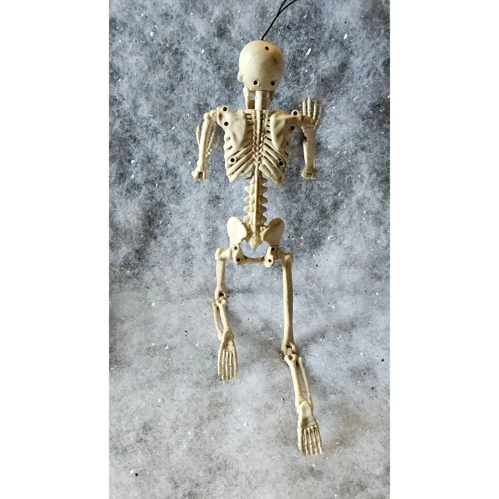 Spirit 16 adjustable